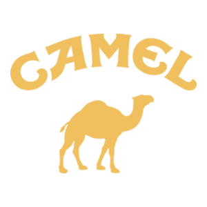 camel